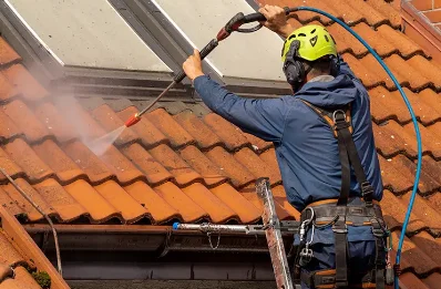 Démoussage et hydrofuge de toiture à Hauterives